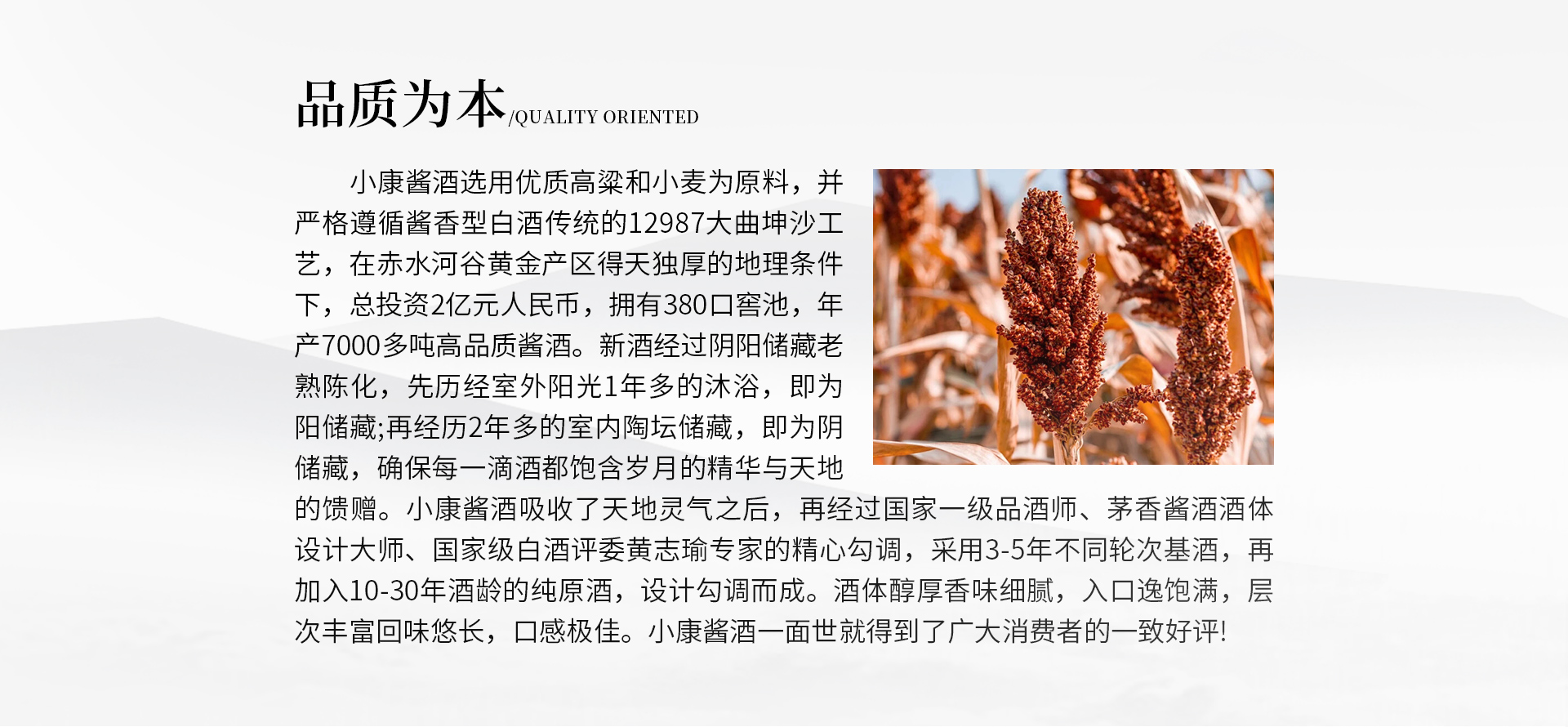 梦想成真
